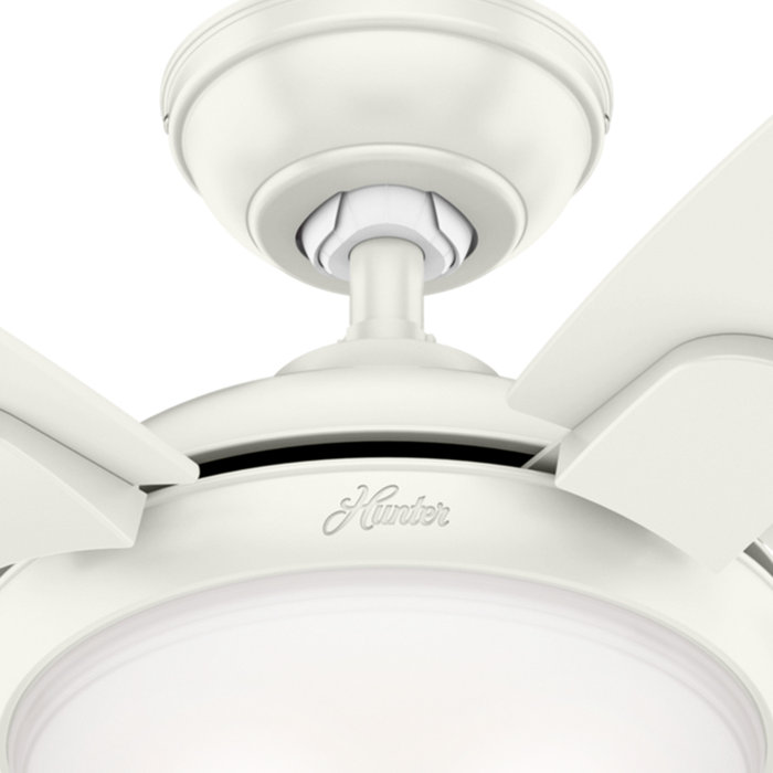 Hunter Fan 54" Contempo 5 Blade Standard Ceiling Fan with Remote